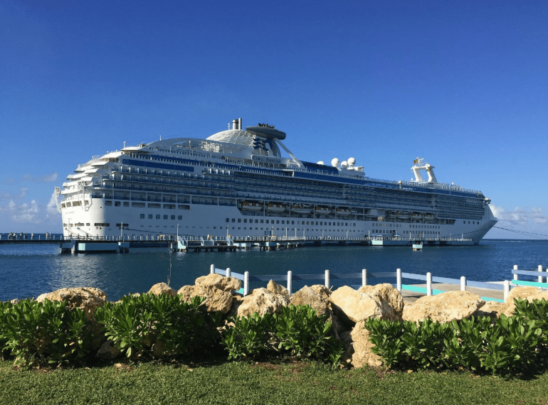A docked cruise ship