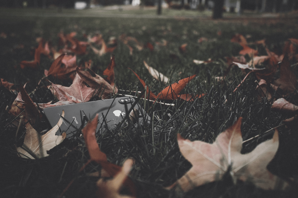  a black iPhone lying on the grass with rusty leaves