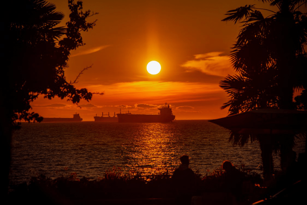 An image of a cruise ship in the sea during sunset